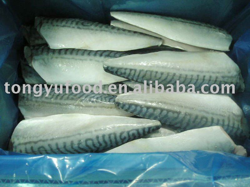  frozen   HGT   mackerel 