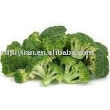 Fresh Broccoli