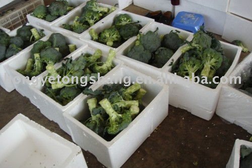 Supply Frozen Broccoli Spears
