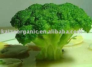 IQF Organic broccoli 2011 new crop
