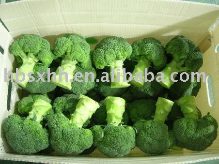 Fresh Broccoli