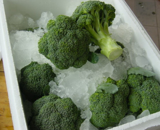 FRESH BROCCOLI