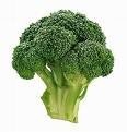 fresh vegetables: BROCCOLI