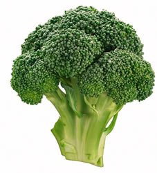 Broccoli