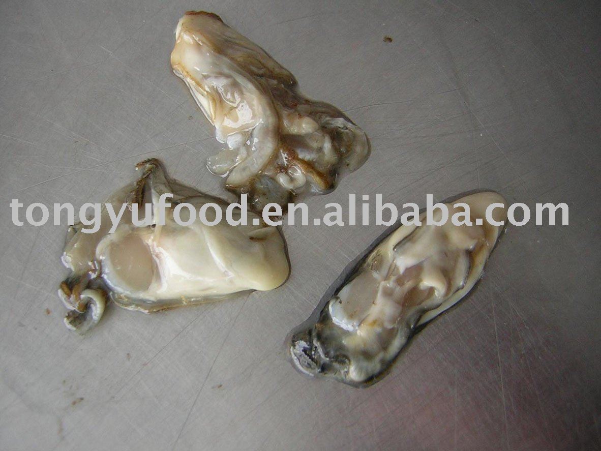 raw oyster