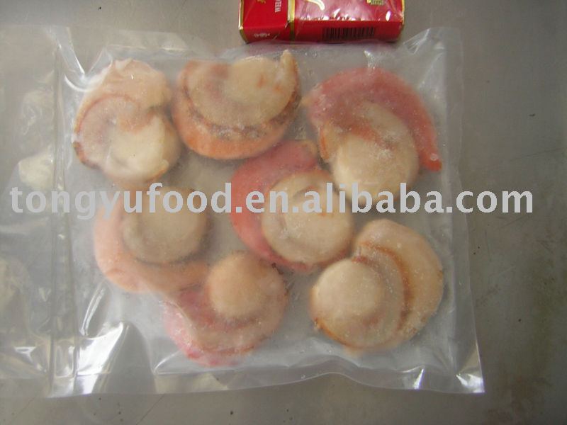 Frozen  Scallop