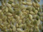 Chinese hulled pumpkin seeds /kernels,shine skin AA
