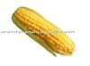 100% High quality Maize