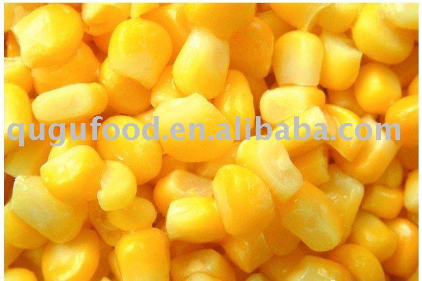 canned maize