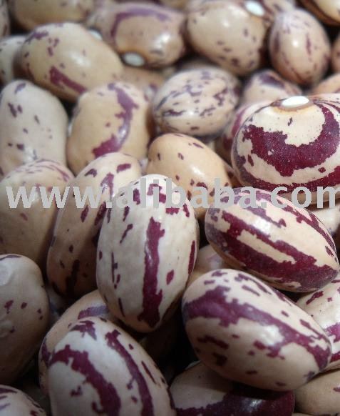  Red   Speckled   Beans 