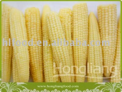 Canned Baby Corn