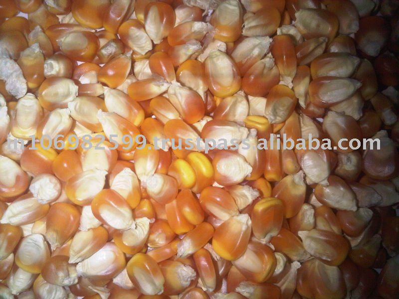 Animal Feed exporter