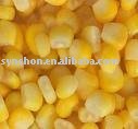 maize