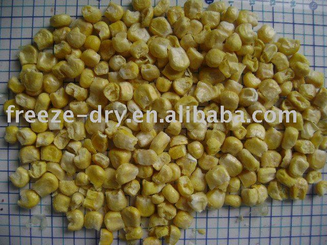 FREEZE DRY SUPER SWEET CORN FOR INSTANT SOUP NOODLES INDUSTRY.,China ...