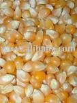 corn seed,sunflowerseed,sobeans seed