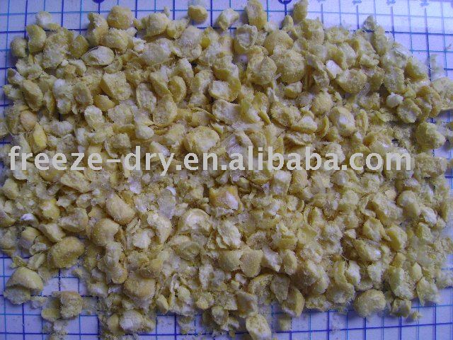FREEZE DRY SUPER SWEET   CORN  FOR  INSTANT   SOUP  NOODLES INDUSTRY.