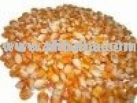 Animal Corn Feed