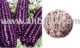 White,Yellow Red And Pupple corn $130-$180