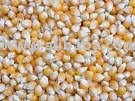 yellow corn,fresh  onion ,dried garlic,white garlic, red  pepper,turmeric
