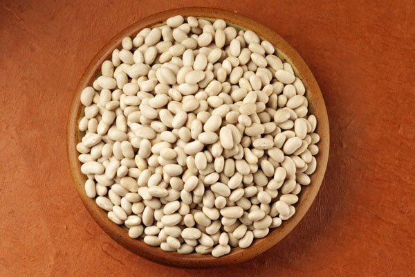 Organic and Conventional  Haricot   Beans 