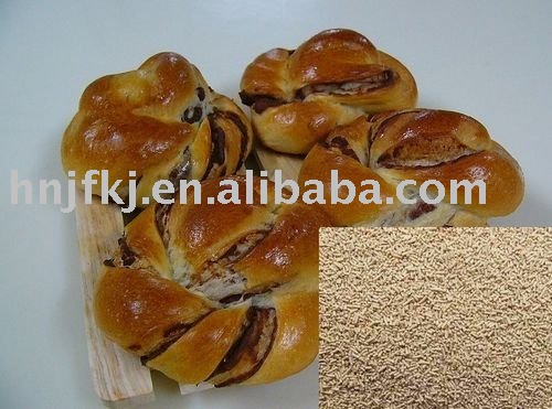 Foods Ingredients Fresh Dry Yeast