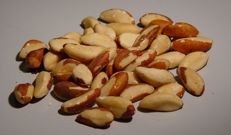 HIGH QUALITY Brazil nuts