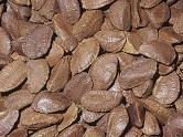 Brazil Nuts Available To Go Now