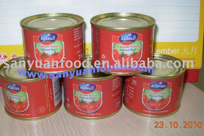 premium quality-canned tomato paste 70g