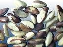 Brazil nuts