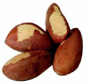 Fresh and Dried Brazil Nuts