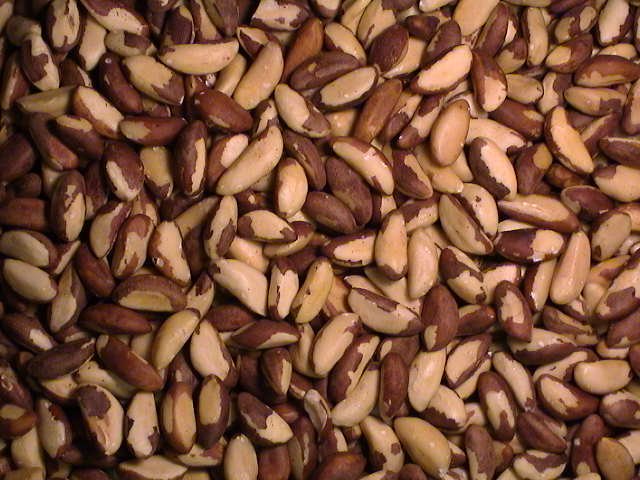 Brazilian Nuts