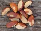 Brazil Nut