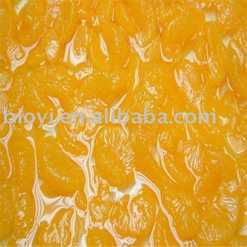  Canned   Orange  Broken  Segments 