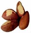 Brazil Nut