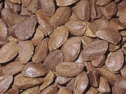 Brazil Nuts