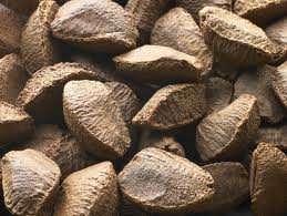 Brazil Nuts