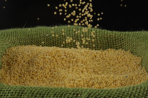 corn