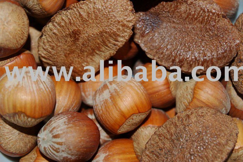 Brazil Nut