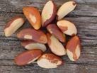Brazil Nut