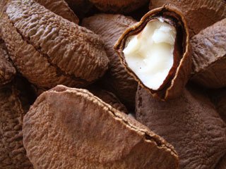 Brazil   Nuts  ready for  export s