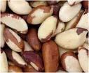 brazil nuts