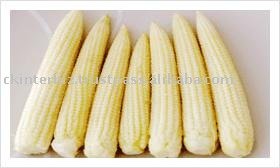Baby Corn