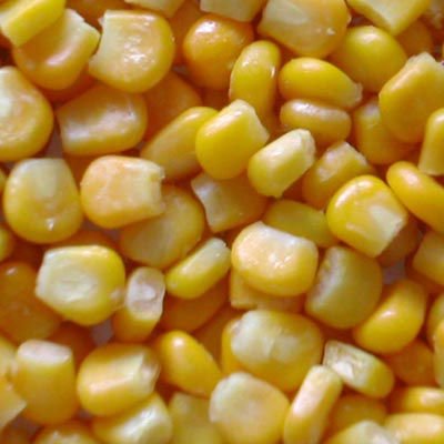 Canned Sweet Corn For Sale