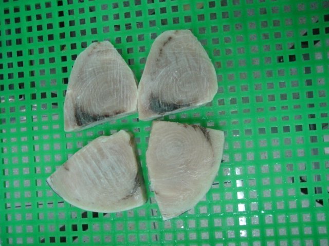 Swordfish