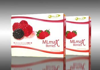 MLmax Berries (Berries Flavoured Fruit Fibre Drink)