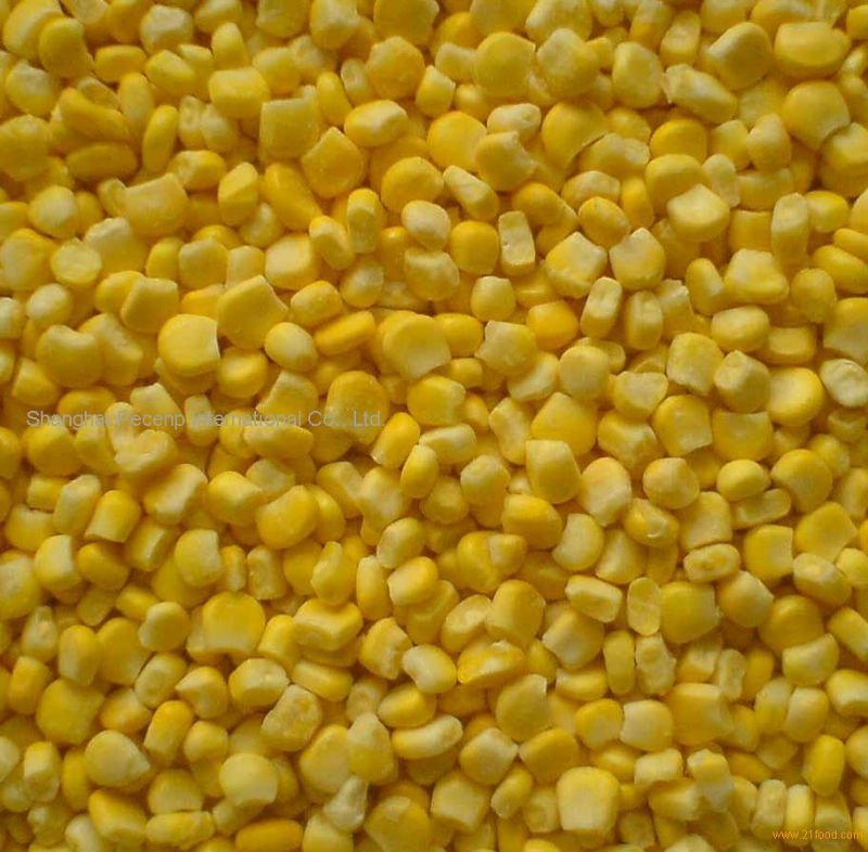 MAIZE