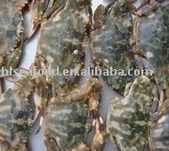 Stone Crab