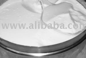 Punjabi  Curd   ( milk  products)