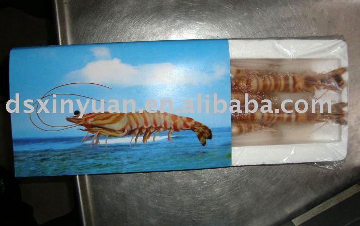 Frozen Whole Shrimp