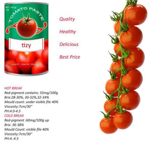 tomato paste
